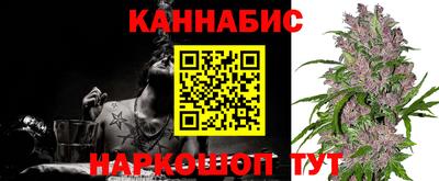 индика Ливны