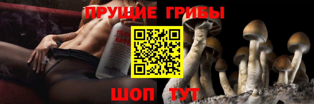 Славгород  Галлюциногенные грибы мицелий  где купить   Псилоцибиновые грибы мухоморы  Вход с VPN 